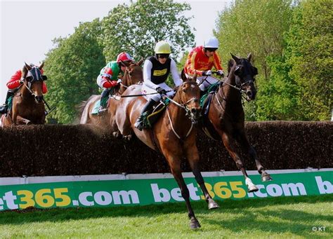 bet365 horse race|bet365 Gold Cup: Date, venue, runners, history & more.